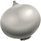onion onion